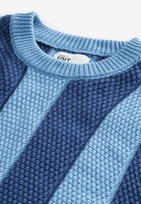 Strickpullover mit abwechselnden dunkelblauen und hellblauen Streifen, geripptem Hals und strukturiertem Gewebe. Das Etikett zeigt den Markennamen "NEXT EDIT."