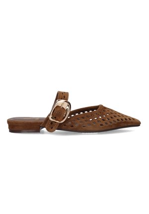 Mule puntiagudo de ante marrón con cortes cuadrados perforados y una correa ancha con una gran hebilla dorada brillante, suela plana.