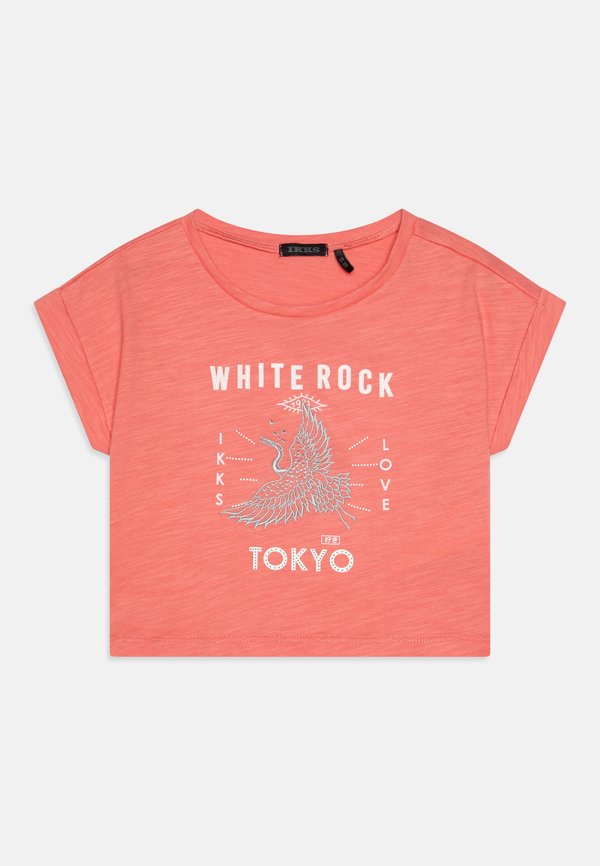 TEE  - Print T-shirt - rose