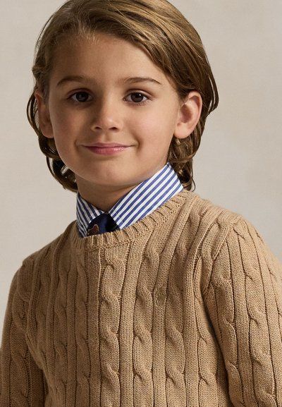 Ragazzo giovane con capelli castano chiaro che indossa una camicia blu a righe, una cravatta blu scuro e un maglione beige lavorato a trecce, sorridendo dolcemente alla macchina fotografica.