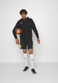 puma bvb