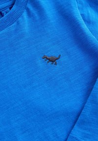 Next LONG SLEEVE - STANDARD - Maglietta a manica lunga - blue