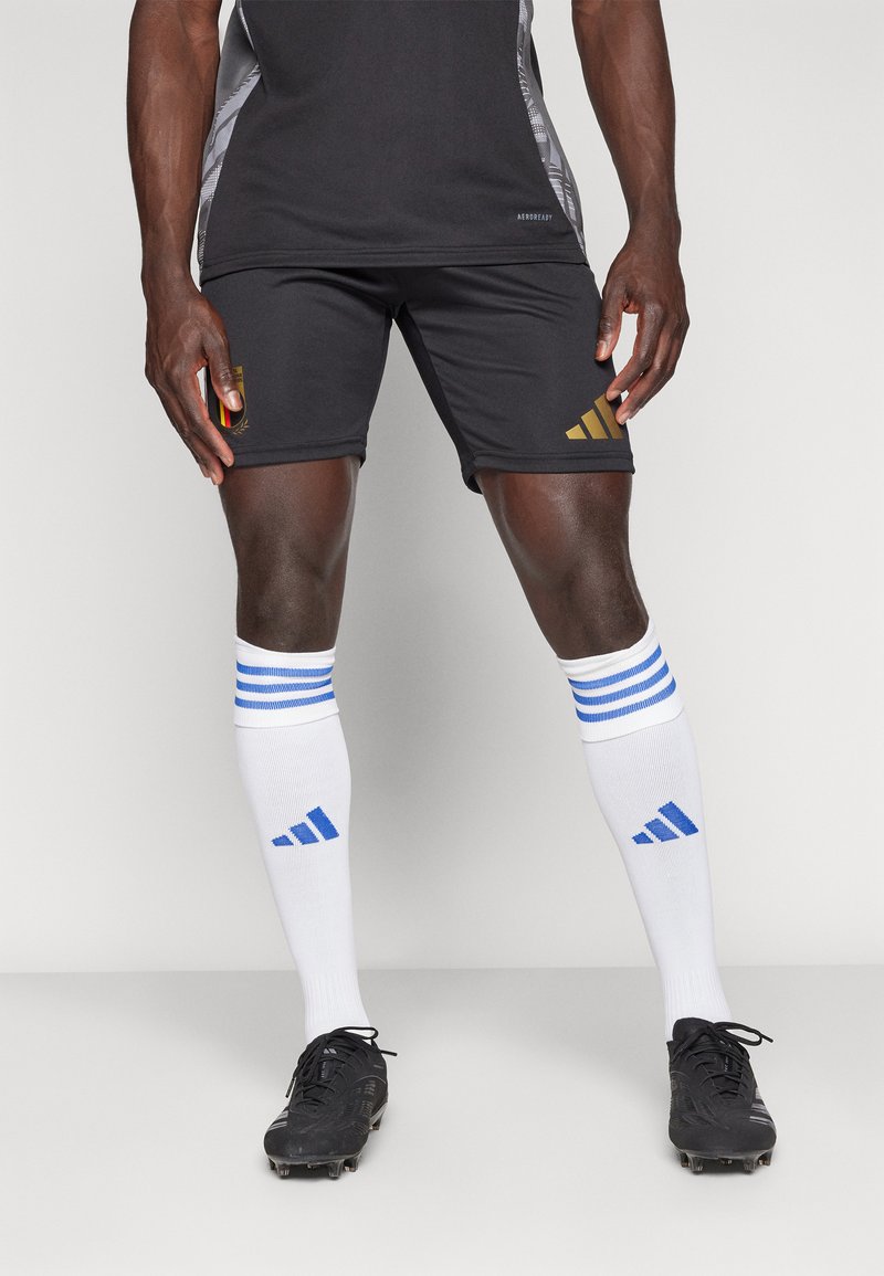 adidas Performance BELGIUM RBFA TRAINING SHORT - Sports shorts - black ...