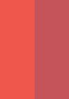 honey orange n rose