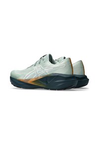 ASICS NOVABLAST 5 TR - Trail running shoes - nature bathing   lichen rock