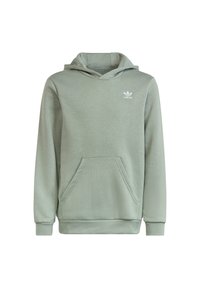 adidas Originals Luvtröja - silver green