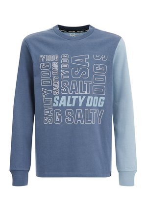 Sudadera de manga larga azul con tonos mezclados en las mangas y texto "SALTY DOG" en varias tipografías en el pecho.