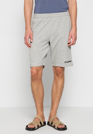 Mand iført lysegrå Hummel-shorts, blå skjorte og beige sandaler står mod en ensfarvet lys baggrund.