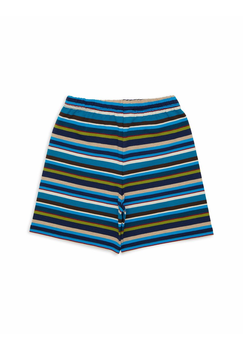 Bermuda a righe con linee orizzontali blu, verdi, marroni e beige. Vita elasticizzata con una superficie liscia e senza tasche.