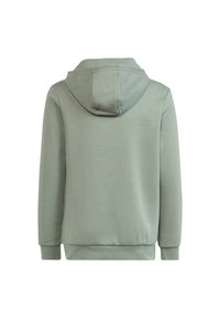 adidas Originals Luvtröja - silver green