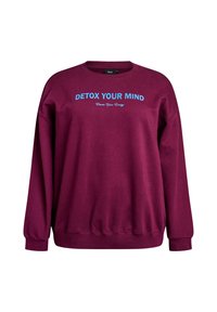 Burgundský sveter z jemnej látky s okrúhlym výstrihom a dlhými rukávmi. Na prednej strane je modrý text "DETOX YOUR MIND."