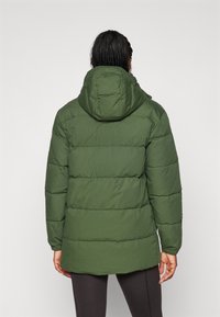 Patagonia PARKA - Geacă cu puf - torrey pine green