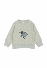 Sweat-shirt gris clair avec un col et des poignets côtelés. Il présente une broderie de scarabée bleu à l'avant, avec des accents marron à l'arrière.
