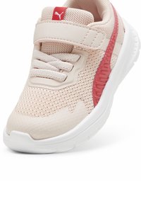 Puma EVOLVE - Babacipők - island pink white tart cherry