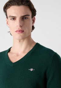Pulover verde, cu gât în V, realizat dintr-un material moale și texturat. Prezintă un mic logo GANT pe piept. Design curat, minimalist.