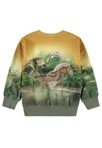 Mikina s grafickým dizajnom dinosaura, so schémou farieb od žltej po zelenú, ribbované manžety a mäkkú textúru.