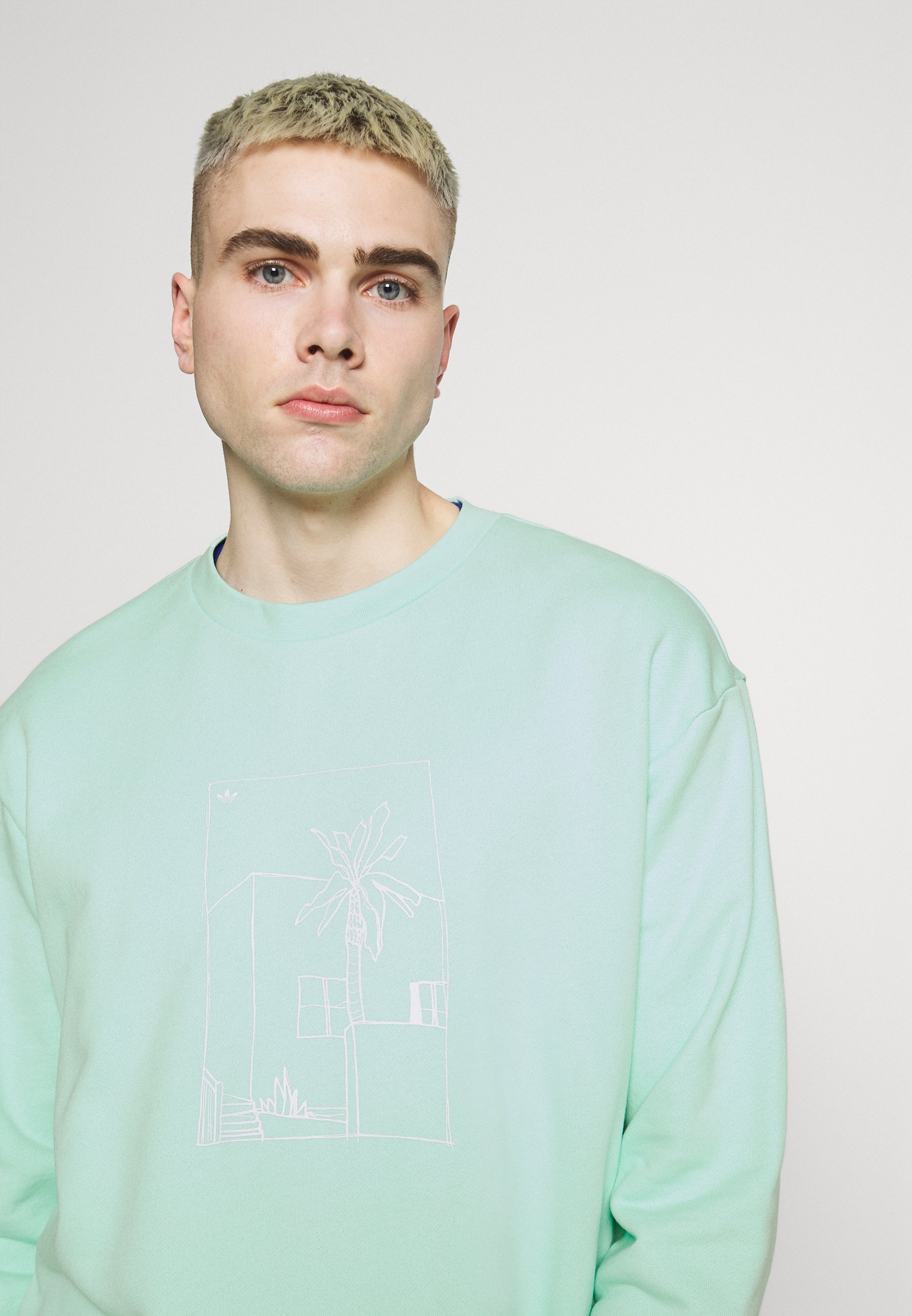adidas Originals GRAPHIC CREW - Sudadera - clear mint/menta - Zalando.es