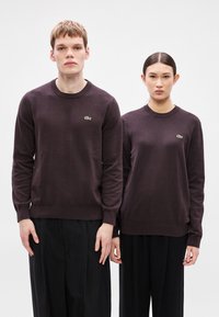 Sweatshirts de malha castanho escuro com punhos e bainha canelados, apresentando um pequeno logótipo verde da Lacoste no lado esquerdo do peito. Combinado com calças pretas.