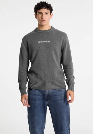 Jumper - grau