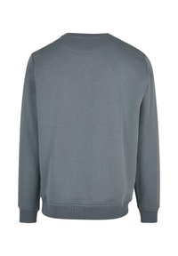 Felpa grigia girocollo, realizzata in tessuto morbido, con polsini e orlo a coste, e design semplice senza motivi o accenti visibili.