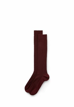 Calcetines hasta la rodilla - burgundy