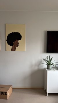 Seinään kiinnitetty taidekuva afrohiuksisesta naisesta, litteä näyttö-TV, valkoinen kaappi aloe-kasvin kera, ja pahvilaatikko lattialla.