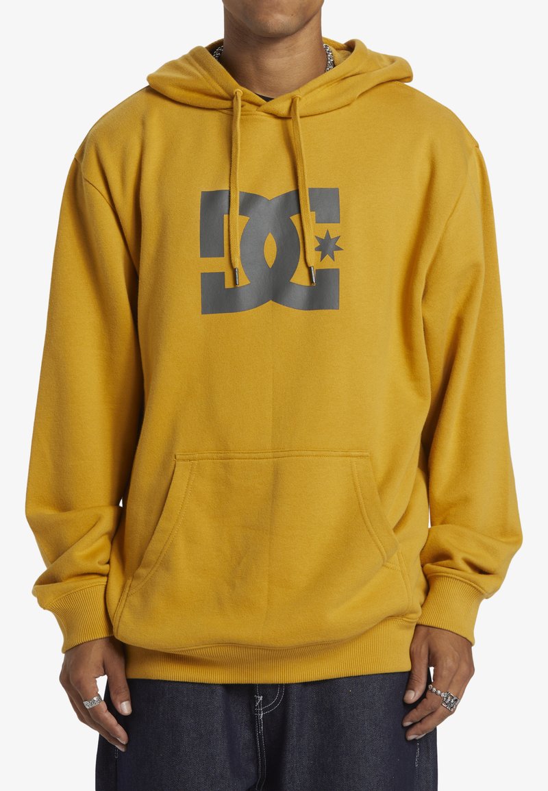 DC Shoes STAR PH - Hoodie - yky tinsel