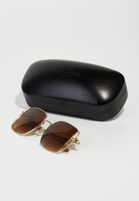 Lunettes de soleil avec accents dorés, verres marron et monture carrée, placées à côté d'un étui rigide en cuir noir avec logo embossé.