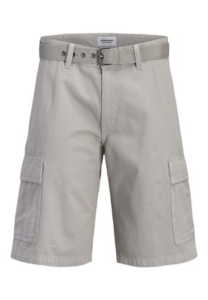 Jack & Jones, JPSTCOLE HUDSON BELTED - Šortky - crockery