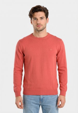 Uomo che indossa un maglione corallo a maniche lunghe semplice e jeans azzurri, in piedi davanti a uno sfondo bianco semplice.