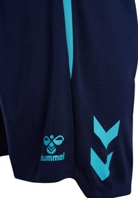 Unausgewählt, marine blue fish