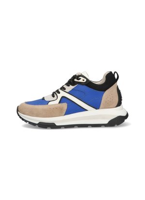 FRANK FLASH  - Sneakers laag - blauw beige wit