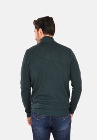 Maglione verde scuro con collo alto, polsini e orlo a costine, caratterizzato da una trama a maglia liscia. Abbinato a jeans blu, visto da dietro.