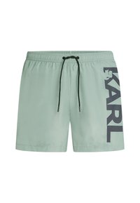 LOGO SHORT - Fürdőnadrág - iceberg green