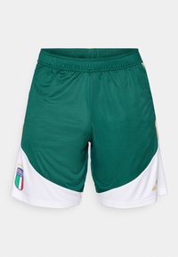 FIGC ITALY TRAINING SHORT - Ένδυση εθνικής ομάδας - collegiate green