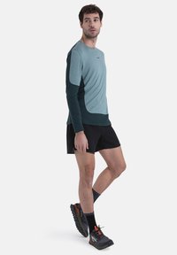 Herren-Sportbekleidung: leichtes, langärmeliges Oberteil in Türkis und Dunkelgrün, kombiniert mit schwarzen Shorts und grauen Laufschuhen mit roten Akzenten.
