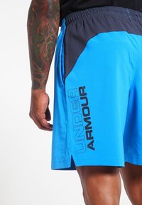 Under Armour Shorts - blue