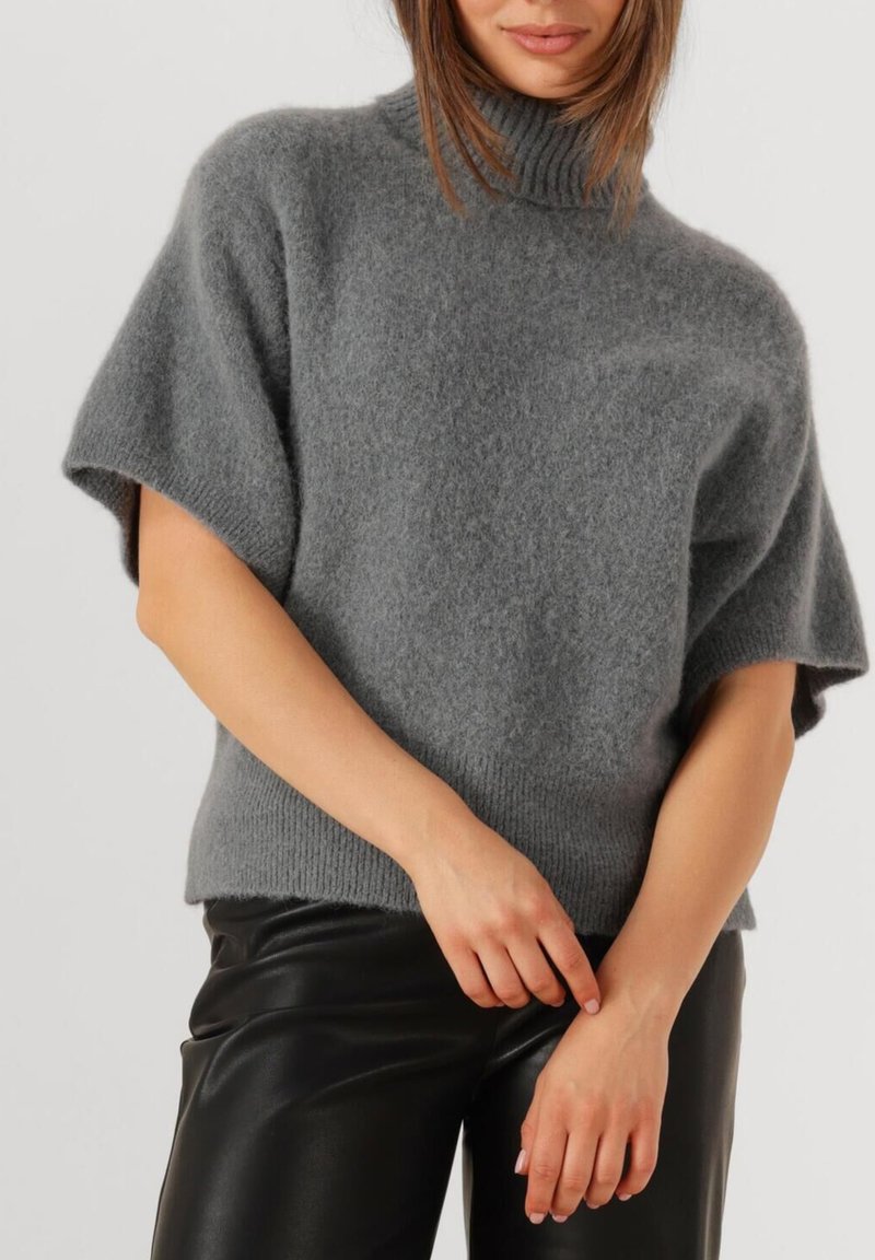 Grijze gebreide coltrui met korte mouwen, gemaakt van zacht materiaal. Heeft een relaxte pasvorm en een geribde kraag, gecombineerd met zwarte broek.