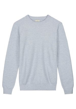 Dstrezzed CREW - Pullover - lt. blue