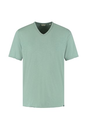 Lysegrøn herre-T-shirt med korte ærmer og V-udskæring, ensfarvet design og blød stoftekstur, vist på en hvid baggrund.