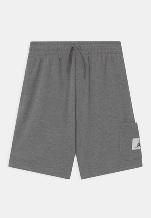 Grå shorts med elastisk linning, snøre og sidelomme med et lille Jordan-logo patch.