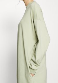 Sukienka z długim rękawem w jasnym zielonym kolorze, o luźnym kroju, okrągłym dekolcie i kieszeniach po bokach. Wykonana z miękkiego materiału o gładkiej teksturze.