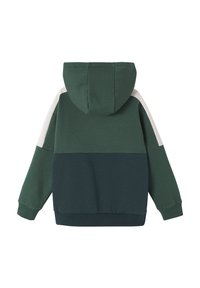 Grüne Kapuzenjacke mit einer Kapuze und gerippten Bündchen. Sie hat drei Farbblöcke: dunkelgrün, helleres grün und ein off-white auf den Schultern. Weicher Stoff.