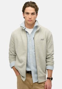Light gray zip-up sweatshirt with a high collar, layered over a blue and white striped shirt. Features ribbed cuffs and a logo on the chest.