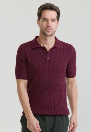 Mand med kort brunt hår iført en maroon kortærmet kabelstrikket poloshirt, stående mod en ensfarvet lys baggrund.