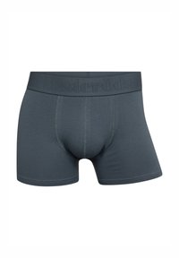 Calzoncillos tipo boxer en gris oscuro, fabricados en una tela suave. Presentan una cinturilla ancha con el nombre de la marca en relieve y costuras suaves.