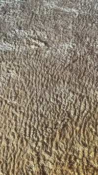 Bež, mehka preproga z bogato strukturo; vsebuje valovite vzorce, ustvarjene z različnimi višinami kupa. Mehko in gosto gradivo.