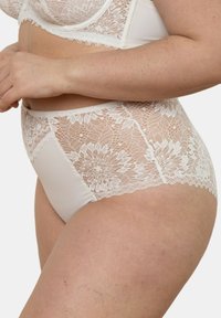 Sous-vêtements en dentelle avec une taille haute, présentant des motifs floraux en dentelle sur les côtés et un devant opaque lisse. La couleur est beige clair.