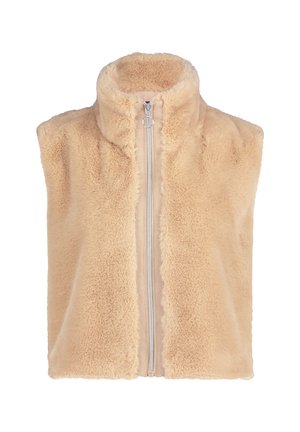 Beige mouwloze vest gemaakt van zachte, pluizige stof met een hoge kraag en een ritssluiting aan de voorkant. Minimalistisch ontwerp zonder extra versieringen.
