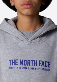 Felpa grigia con cappuccio con il logo "THE NORTH FACE" in blu. Include un cappuccio regolabile e una texture morbida, con dettagli di cucitura visibili.